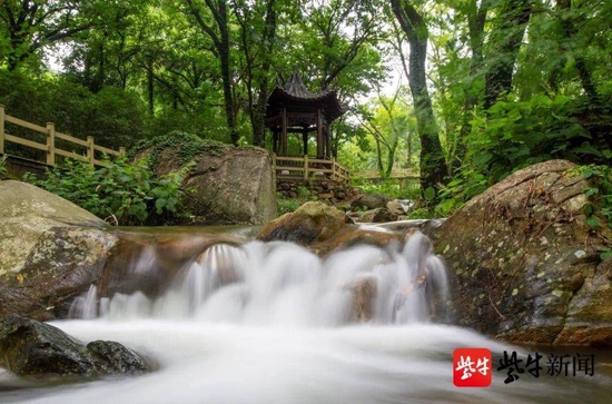 九龙桥木栈道